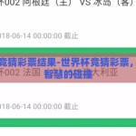 世界杯竞猜彩票结果-世界杯竞猜彩票，激情与智慧的碰撞