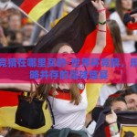 世界杯竞猜在哪里买的-世界杯竞猜，乐趣与策略并存的足球盛宴