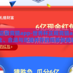 世界杯正规竞猜app-世界杯正规竞猜app，安全、合法与乐趣并存的观赛新体验