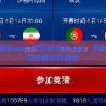 世界杯竞彩app-世界杯竞彩app，数字时代的足球盛宴新体验