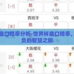 世界杯盘口赔率分析-世界杯盘口赔率，洞察胜负的智慧之眼