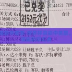 世界杯竞彩中奖票-世界杯竞彩中奖票，梦想与现实的交汇点