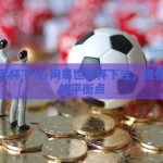 网易世界杯下注-网易世界杯下注，理性与娱乐的平衡点