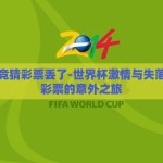 世界杯竞猜彩票丢了-世界杯激情与失落，竞猜彩票的意外之旅