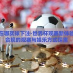 世界杯在哪买球下注-世界杯观赛新体验，合法合规的观赛与娱乐方式探索