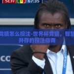 世界杯竞猜怎么投注-世界杯竞猜，智慧与乐趣并存的投注指南