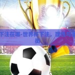世界杯下注在哪-世界杯下注，理性与激情的平衡