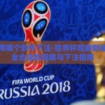 世界杯用哪个软件下注-世界杯观赛新体验，安全合法的观赛与下注指南
