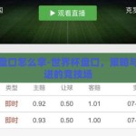 世界杯盘口怎么拿-世界杯盘口，策略与智慧并进的竞技场