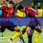 竞彩猫世界杯专家-竞彩猫世界杯，专家视角下的足球盛宴