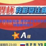 世界杯北京竞彩玩法-世界杯北京竞彩玩法的多样策略与技巧