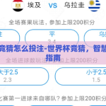 世界杯竞猜怎么投注-世界杯竞猜，智慧投注的指南