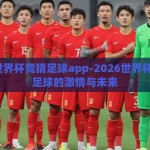 2026世界杯竞猜足球app-2026世界杯，竞猜足球的激情与未来