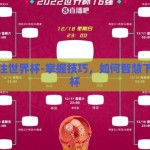 如何下注世界杯-掌握技巧，如何智慧下注世界杯