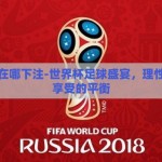 世界杯在哪下注-世界杯足球盛宴，理性参与与享受的平衡