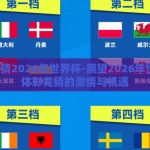 体彩竞猜2026年世界杯-展望2026年世界杯，体彩竞猜的激情与机遇