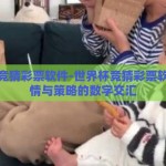 世界杯竞猜彩票软件-世界杯竞猜彩票软件，激情与策略的数字交汇