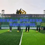世界杯竞彩宝典pdf-世界杯竞彩宝典，解锁足球盛宴的智慧钥匙