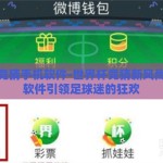 世界杯竞猜手机软件-世界杯竞猜新风尚，手机软件引领足球迷的狂欢