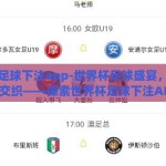 世界杯足球下注app-世界杯足球盛宴，理性与激情的交织——探索世界杯足球下注APP的魅力与风险