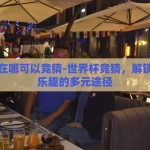 世界杯在哪可以竞猜-世界杯竞猜，解锁观赛新乐趣的多元途径