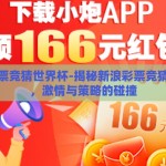 新浪彩票竞猜世界杯-揭秘新浪彩票竞猜世界杯，激情与策略的碰撞