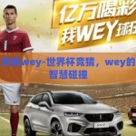 世界杯竞猜wey-世界杯竞猜，wey的激情与智慧碰撞