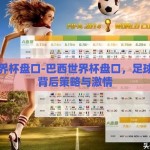 巴西世界杯盘口-巴西世界杯盘口，足球盛宴的背后策略与激情