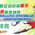 世界杯竞猜app开发-世界杯竞猜app，激发球迷热情的数字娱乐新平台