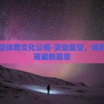 灵动星空体育文化公司-灵动星空，体育文化的璀璨新篇章