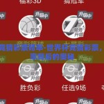 世界杯竞猜彩票赔率-世界杯竞猜彩票，揭秘赔率背后的奥秘
