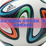 世界杯足球 竞猜网站-世界杯足球，竞猜网站的激情与挑战