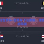 怎么下注世界杯-世界杯下注策略，理性与激情的平衡
