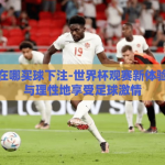 世界杯在哪买球下注-世界杯观赛新体验，合法与理性地享受足球激情