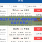 世界杯竞猜怎么买彩票-世界杯竞猜，解锁彩票购买的智慧之门