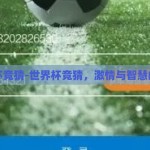 世界杯竞猜-世界杯竞猜，激情与智慧的碰撞