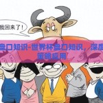 世界杯盘口知识-世界杯盘口知识，深度洞察与策略应用