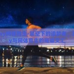 星空boy网体育生-星空下的追梦者，星空boy与网体育生的璀璨交汇