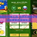 世界杯竞猜彩票怎么玩-世界杯竞猜彩票，解锁足球盛宴的趣味玩法