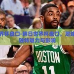 韩日世界杯盘口-韩日世界杯盘口，足球盛宴的独特魅力与影响