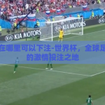 世界杯在哪里可以下注-世界杯，全球足球盛宴的激情投注之地