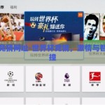 世界杯竞猜网址-世界杯竞猜，激情与智慧的碰撞
