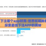 世界杯下注哪个app好用-世界杯观赛新体验，探索最佳下注APP的奥秘