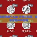世界杯竞猜用哪个app-世界杯竞猜，解锁精彩预测的APP指南