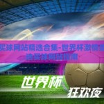 世界杯买球网站精选合集-世界杯激情盛宴，精选买球网站指南