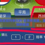 世界杯竞猜如何参与的-世界杯竞猜，激情与智慧的碰撞