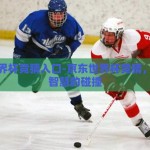 京东世界杯竞猜入口-京东世界杯竞猜，激情与智慧的碰撞