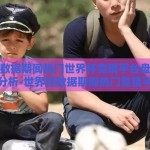 世界杯数据期间热门世界杯竞猜平台盘点与直播入口分析-世界杯数据期间热门竞猜平台与直播入口概览