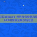世界杯正规竞猜app-世界杯竞猜新风尚，正规APP引领安全娱乐新潮流