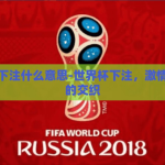 世界杯下注什么意思-世界杯下注，激情与策略的交织